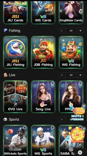 p999 game home screen.